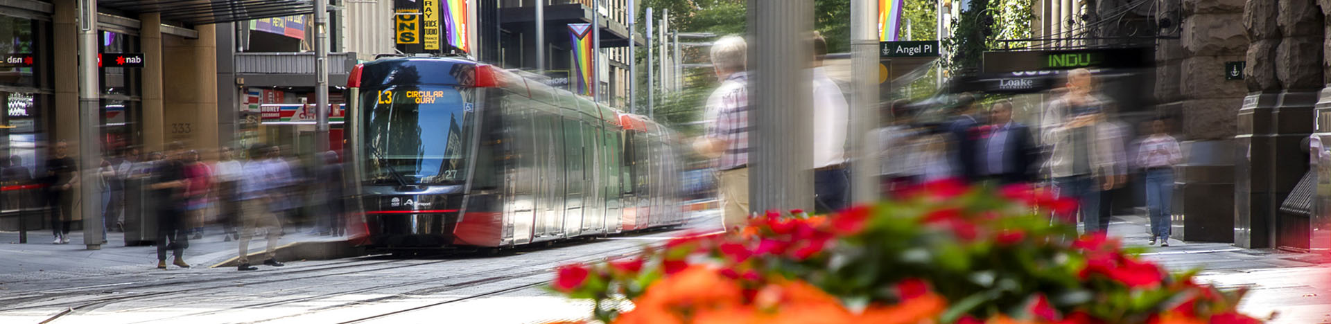 Sydney light rail