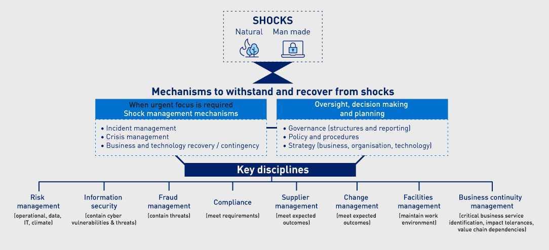 Conceptual model of the mechanisms that maintain operational resilience