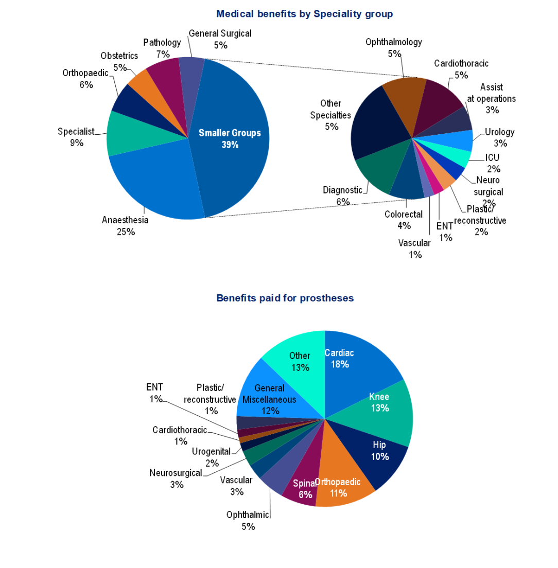 Medical benefits by Speciality group for the March 2024. The medical service for which the greatest number of benefits was paid was anaesthetics, comprising 24.8% of all medical benefits. Benefits paid for prostheses for the March 2024. The prosthetic group for which the greatest amount of benefits paid was cardiac, comprising 17.6% of all prosthetic benefits.