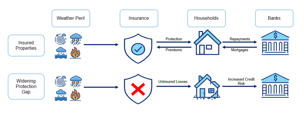 Flowchart showing two scenarios. Top: Insured properties face weather perils, get insurance protection, and households make repayments to banks. Bottom: Uninsured properties face losses, increasing credit risk for banks.